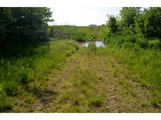 Property photo 7 - LAND AUCTION - 215+/- ACRES OFFERED IN 6 TRACTS IN VAN WERT COUNTY, OHIO
